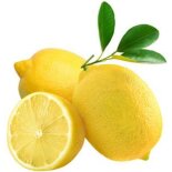 Ätherisches Öl Zitrone, Zitronenöl von...